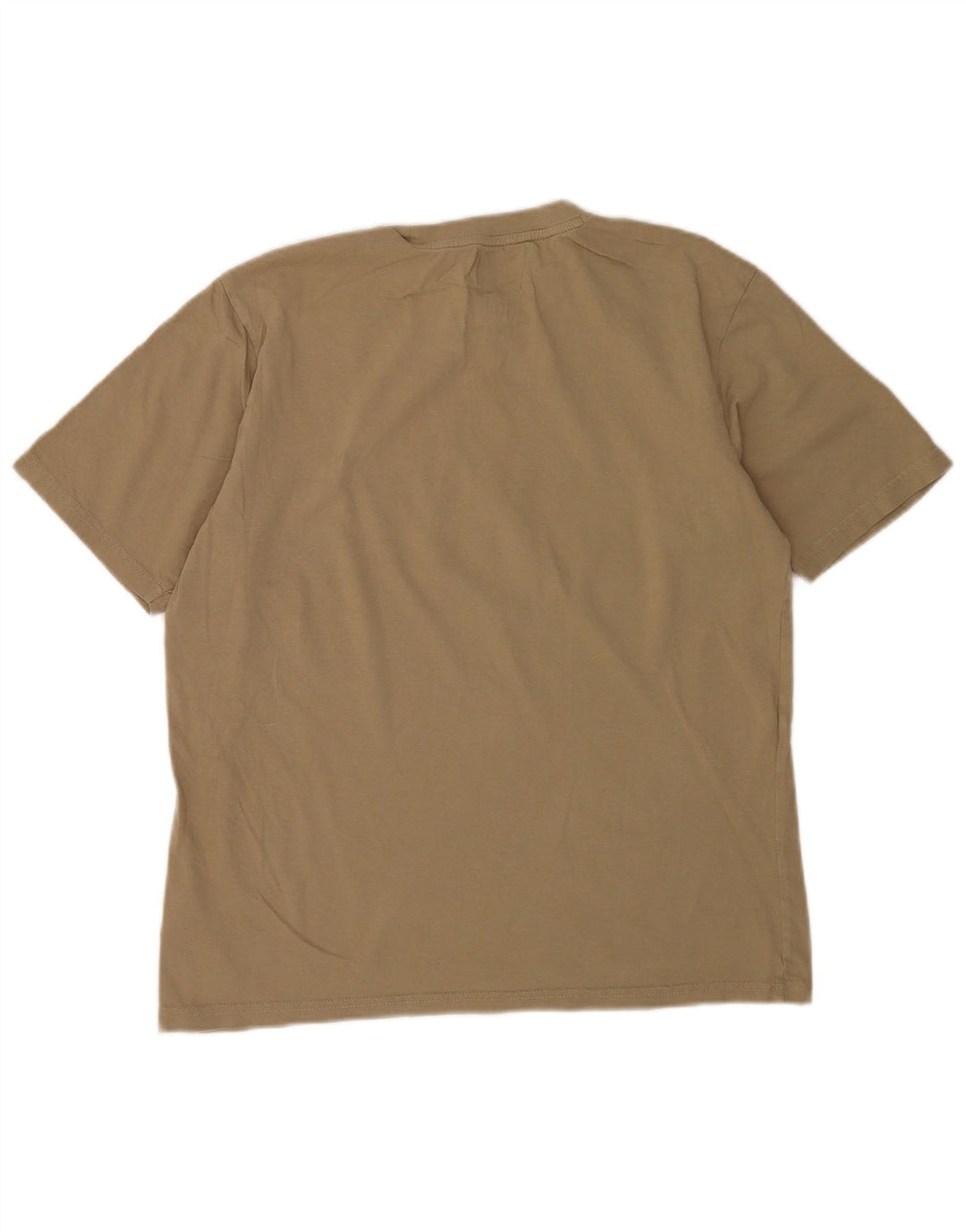Dickies T-shirt grafica da uomo piccola in cotone beige