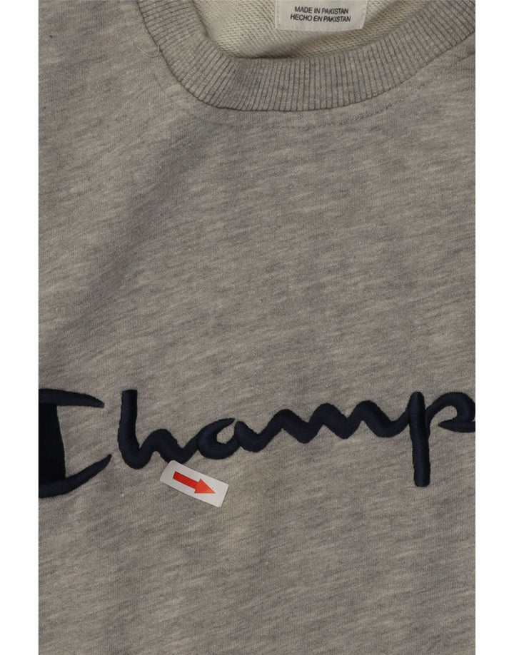 Felpa grafica da uomo Champion Jumper 2XL Cotone chiazzato grigio