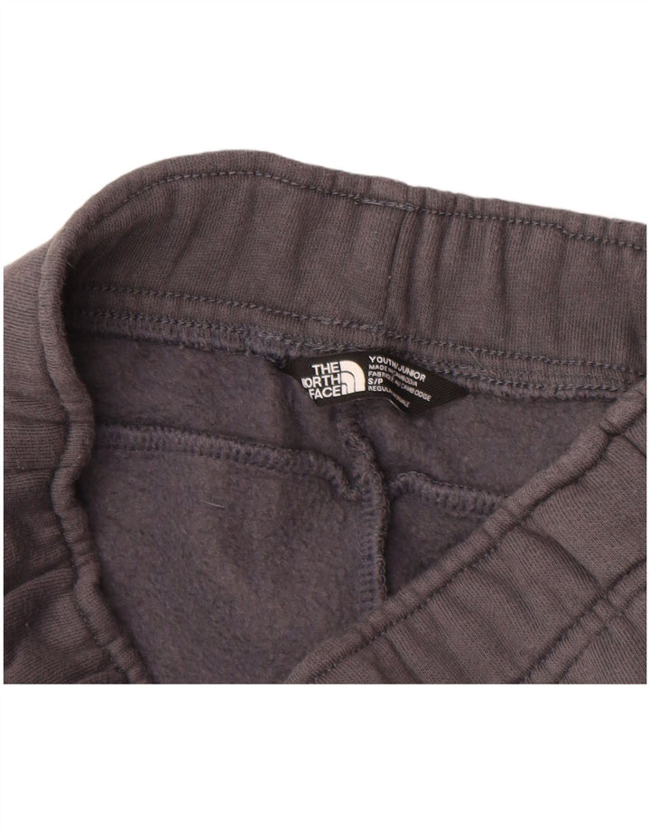 THE NORTH FACE Pantaloni da tuta da ragazzo Joggers 7-8 anni Piccolo grigio