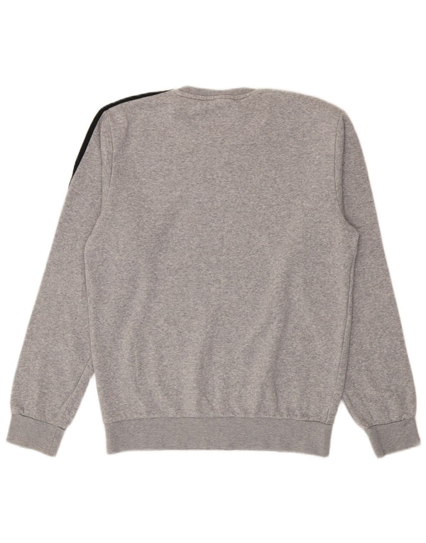 Felpa grafica da uomo Adidas maglione piccolo cotone grigio