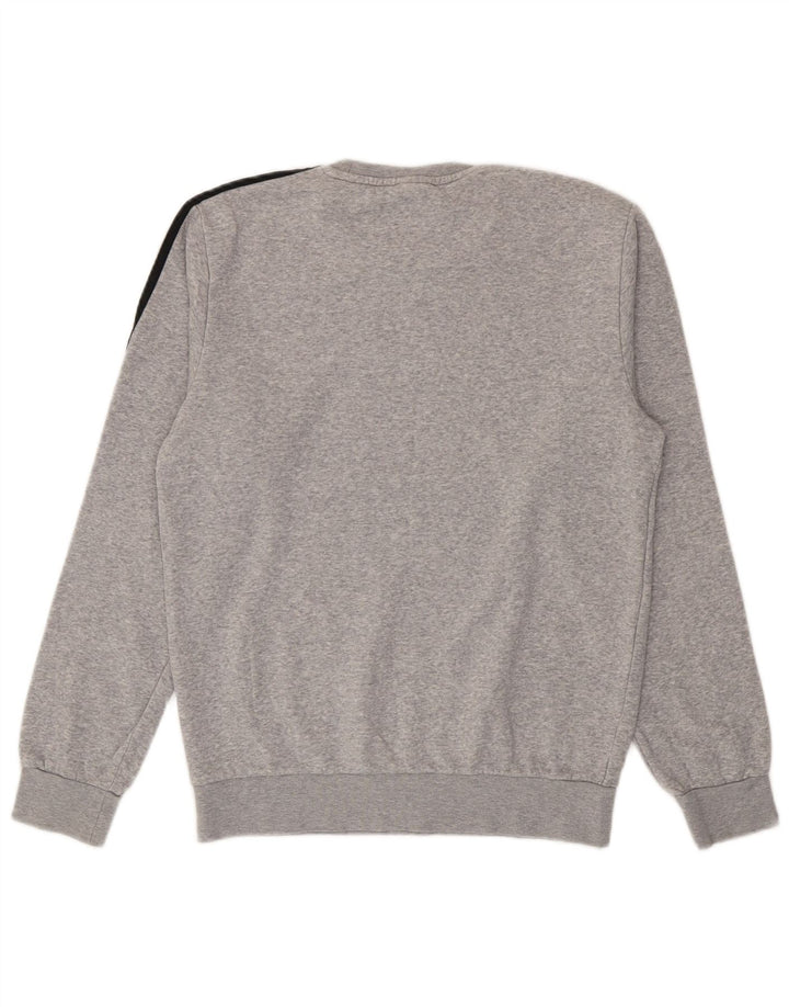 Felpa grafica da uomo Adidas maglione piccolo cotone grigio