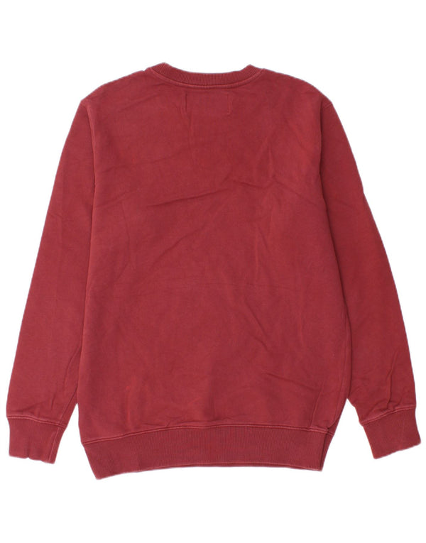 CALVIN KLEIN JEANS Felpa con grafica da uomo Maglione piccolo in cotone bordeaux