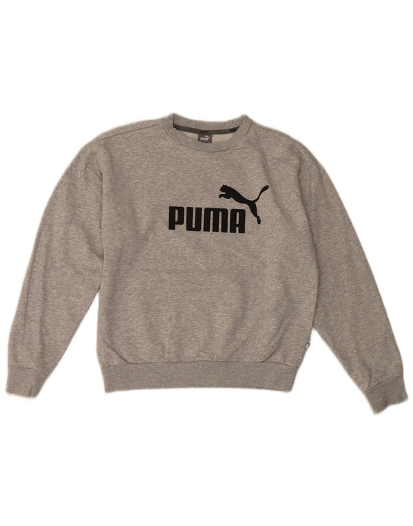 Felpa grafica da uomo Puma Jumper XS in cotone grigio