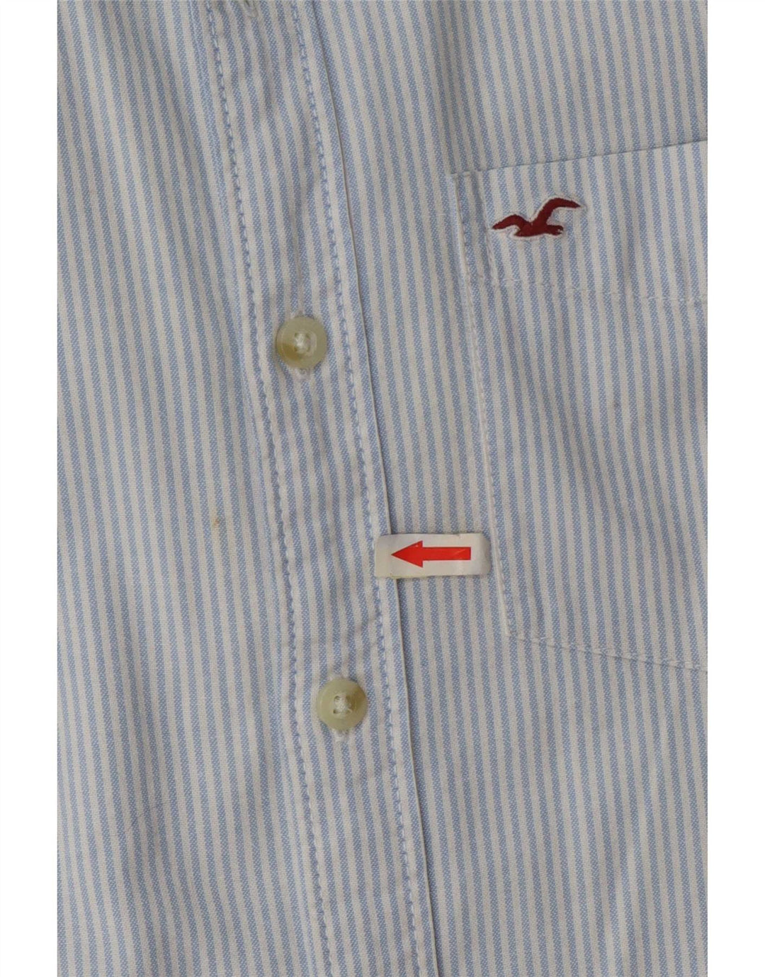 Camicia Hollister da uomo piccola in cotone gessato blu