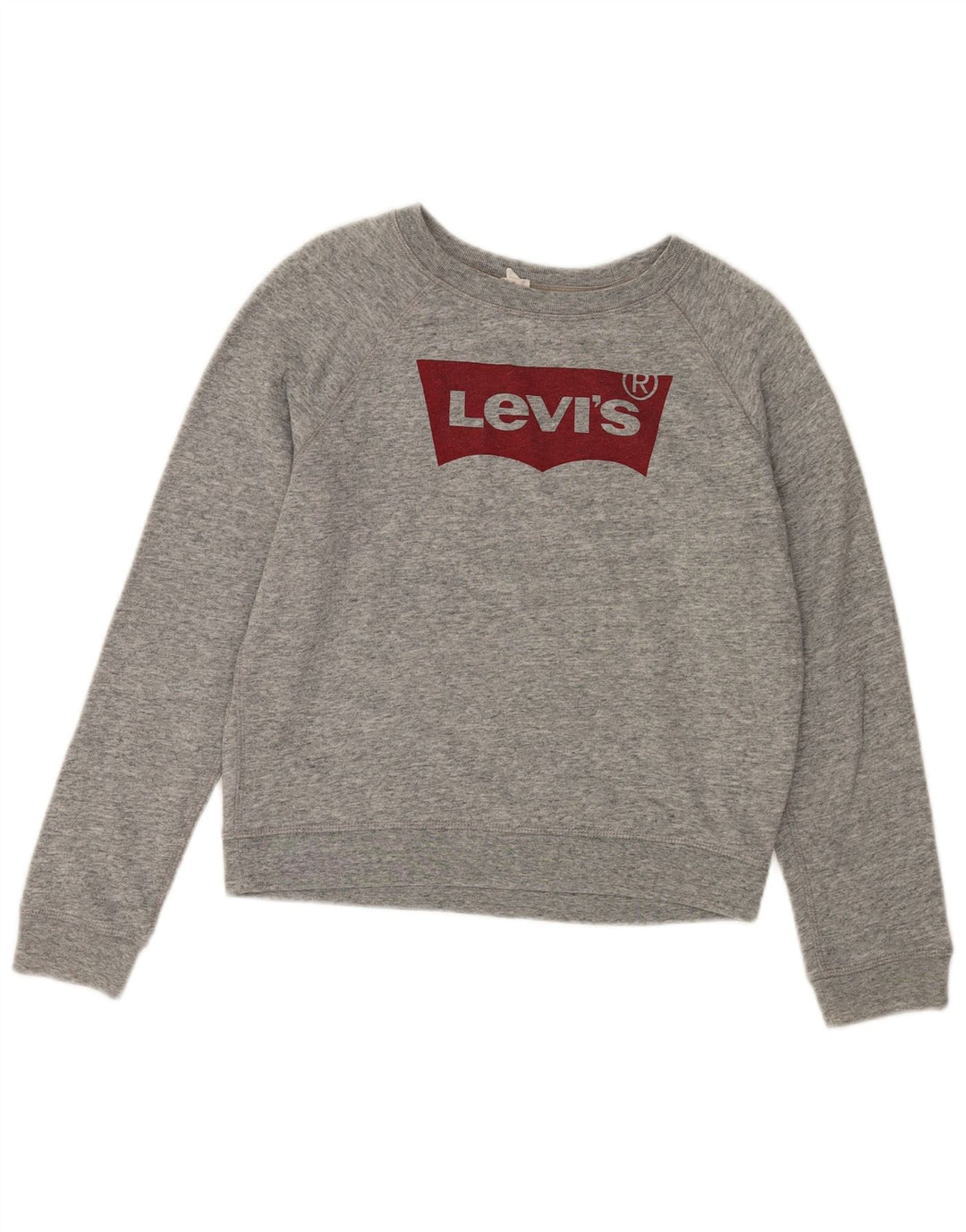Levi's Women's Oversize Crop Felpa Jumper UK 10 Small Grey Flecked