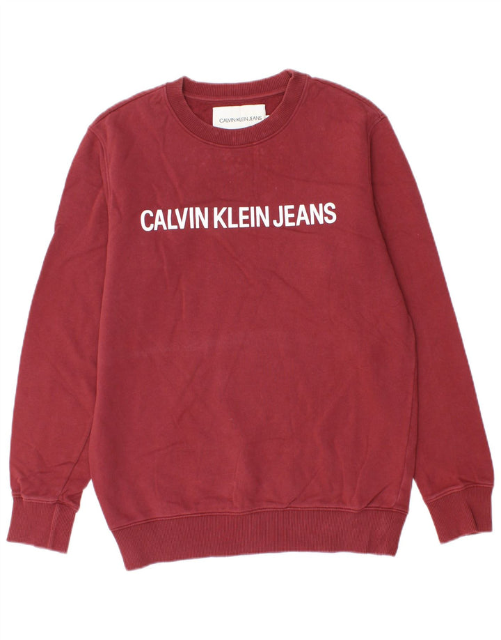 CALVIN KLEIN JEANS Felpa con grafica da uomo Maglione piccolo in cotone bordeaux