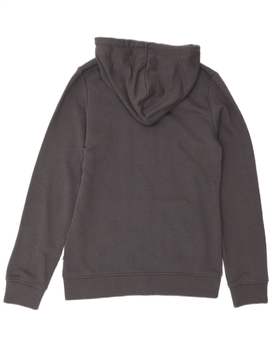 Maglione con cappuccio e zip da uomo Carrera piccolo in cotone grigio