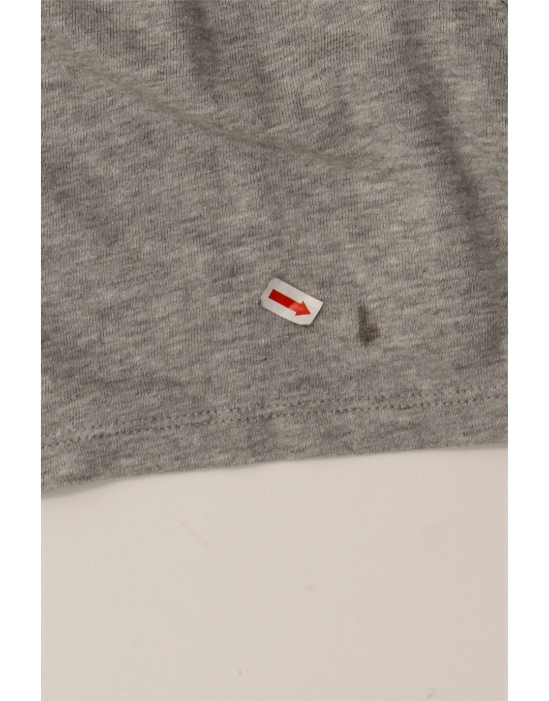 CHAMPION Womens Sport Shorts UK 14 Large  Grey Cotton Vintage Champion and Second-Hand Champion from Messina Hembry 