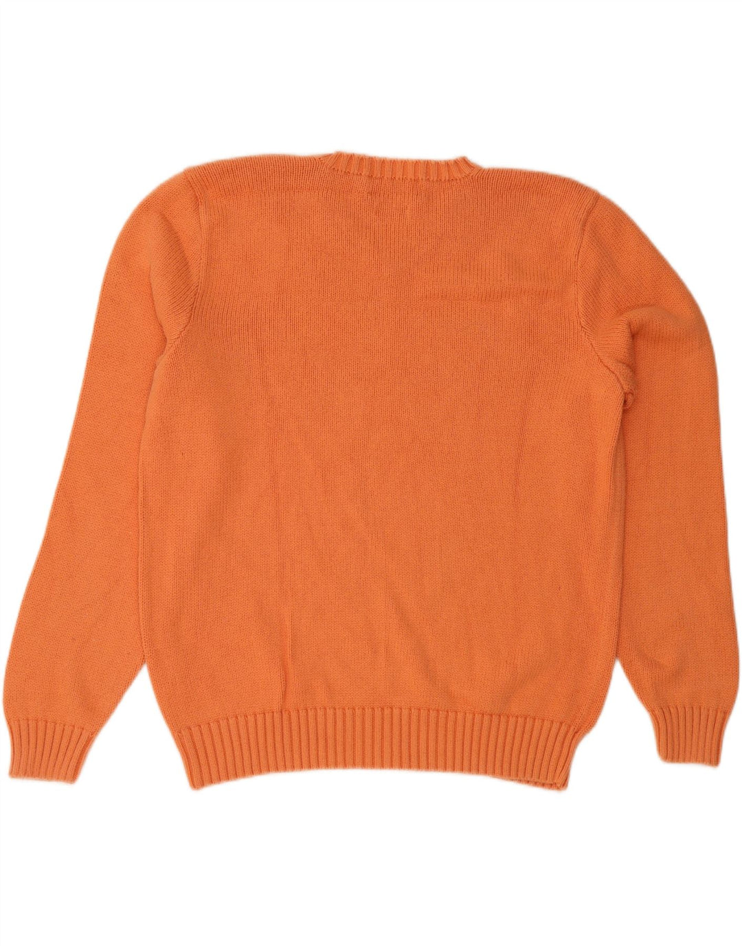 POLO RALPH LAUREN Maglione da uomo con scollo a V arancione medio