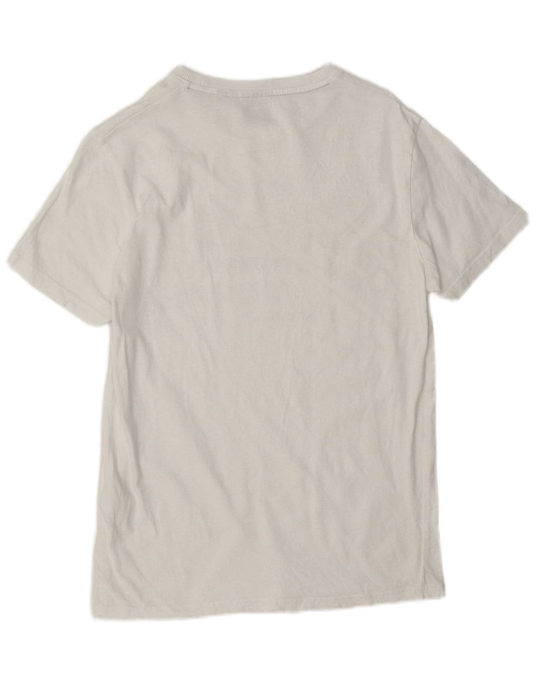 T-shirt grafica da uomo Superdry Top in cotone bianco medio