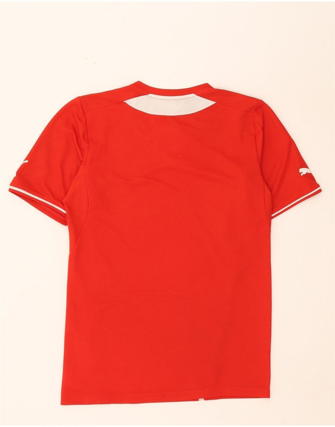 PUMA Mens T-Shirt Top Small Red Colourblock Vintage Puma and Second-Hand Puma from Messina Hembry 