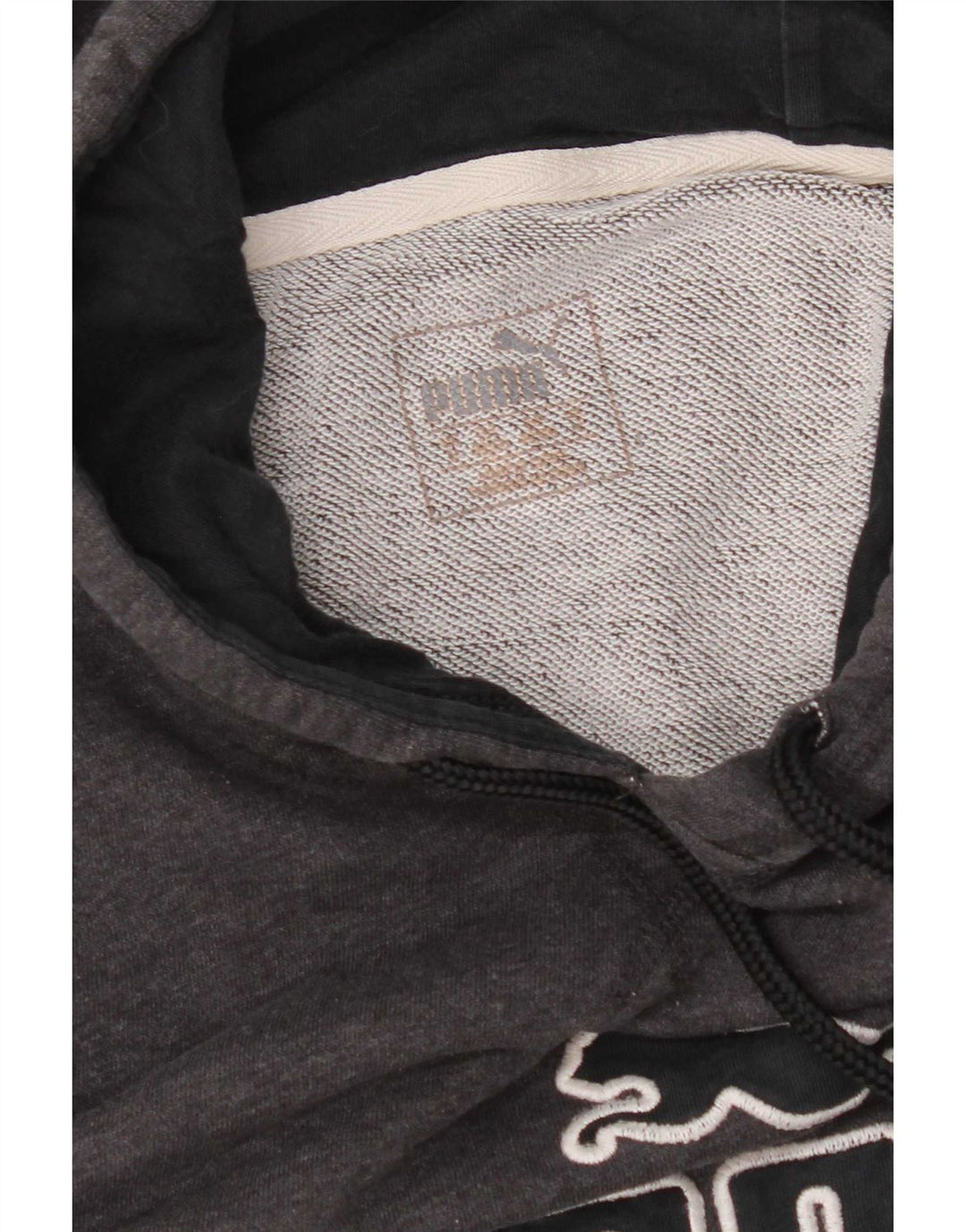 Felpa con cappuccio grafica da uomo Puma Grigio medio