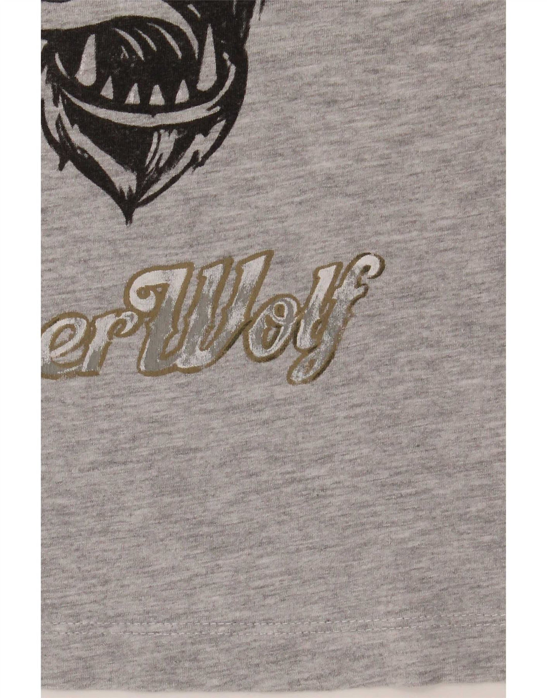 T-shirt grafica Zara per ragazzi, 7-8 anni, grigia