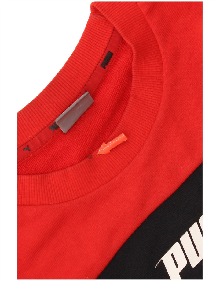 Felpa grafica da uomo Puma Maglione piccolo rosso in cotone color block