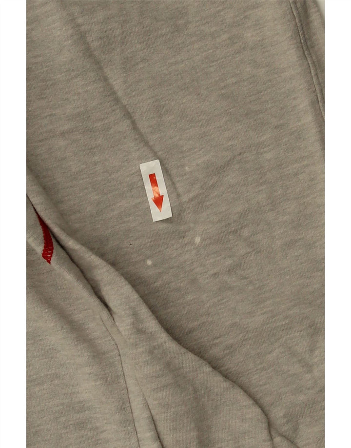 Fila Grafica da uomo Top a maniche lunghe in cotone a righe grandi grigie