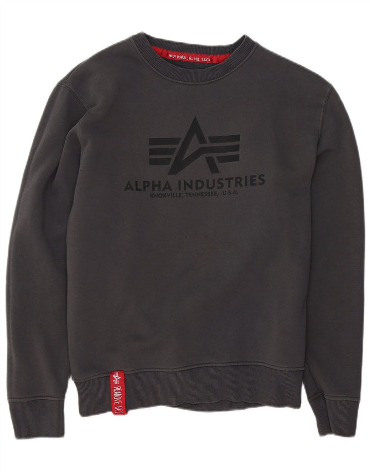 Felpa grafica da uomo Alpha Industries, piccola, in cotone grigio