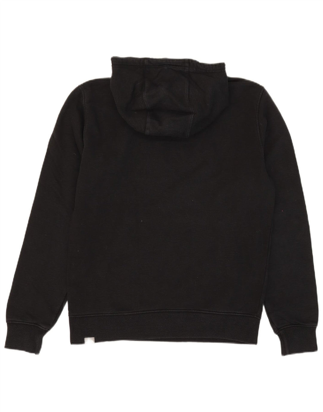 Felpa con cappuccio grafica da uomo The North Face, cotone nero medio