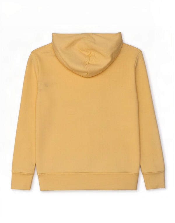 Maglione con cappuccio da uomo Hollister Small in cotone giallo