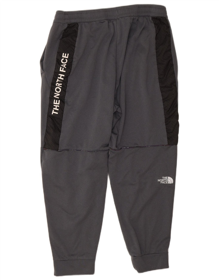 Pantaloni da tuta da uomo The North Face Joggers XL Poliestere grigio