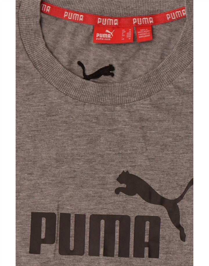 T-shirt grafica da uomo Puma Top grigio medio