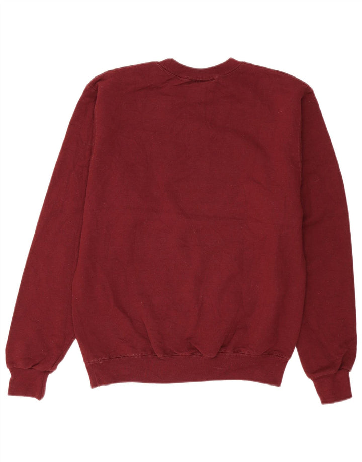 Felpa grafica Champion da uomo Minnesota Duluth, piccola bordeaux