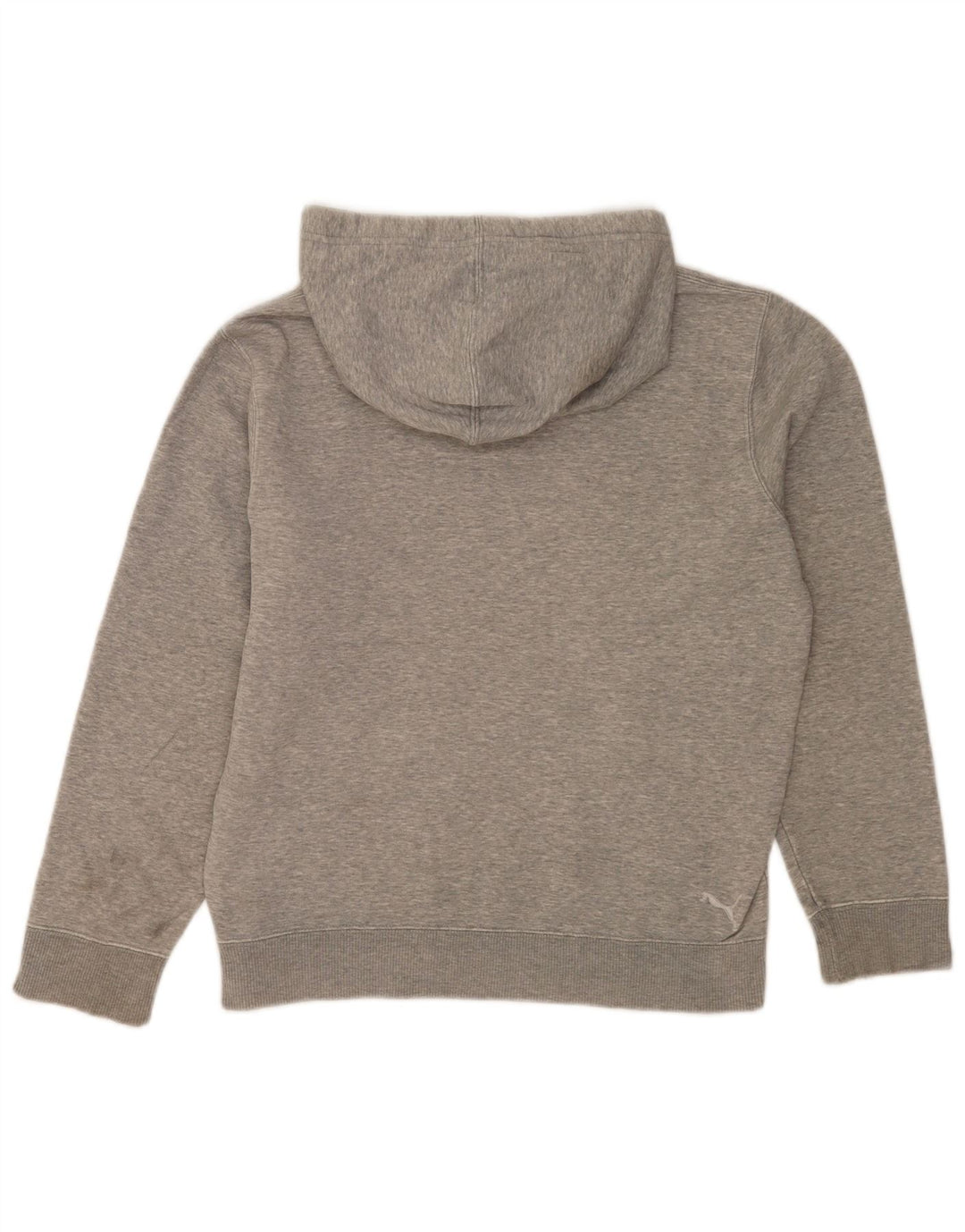 Felpa con cappuccio grafica da uomo Puma piccola grigia chiazzata