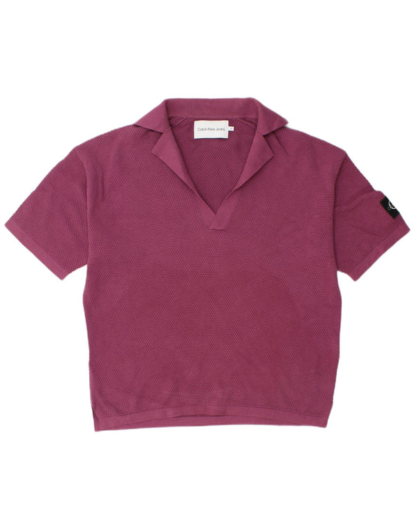 Polo da uomo Calvin Klein Jeans in cotone viola medio