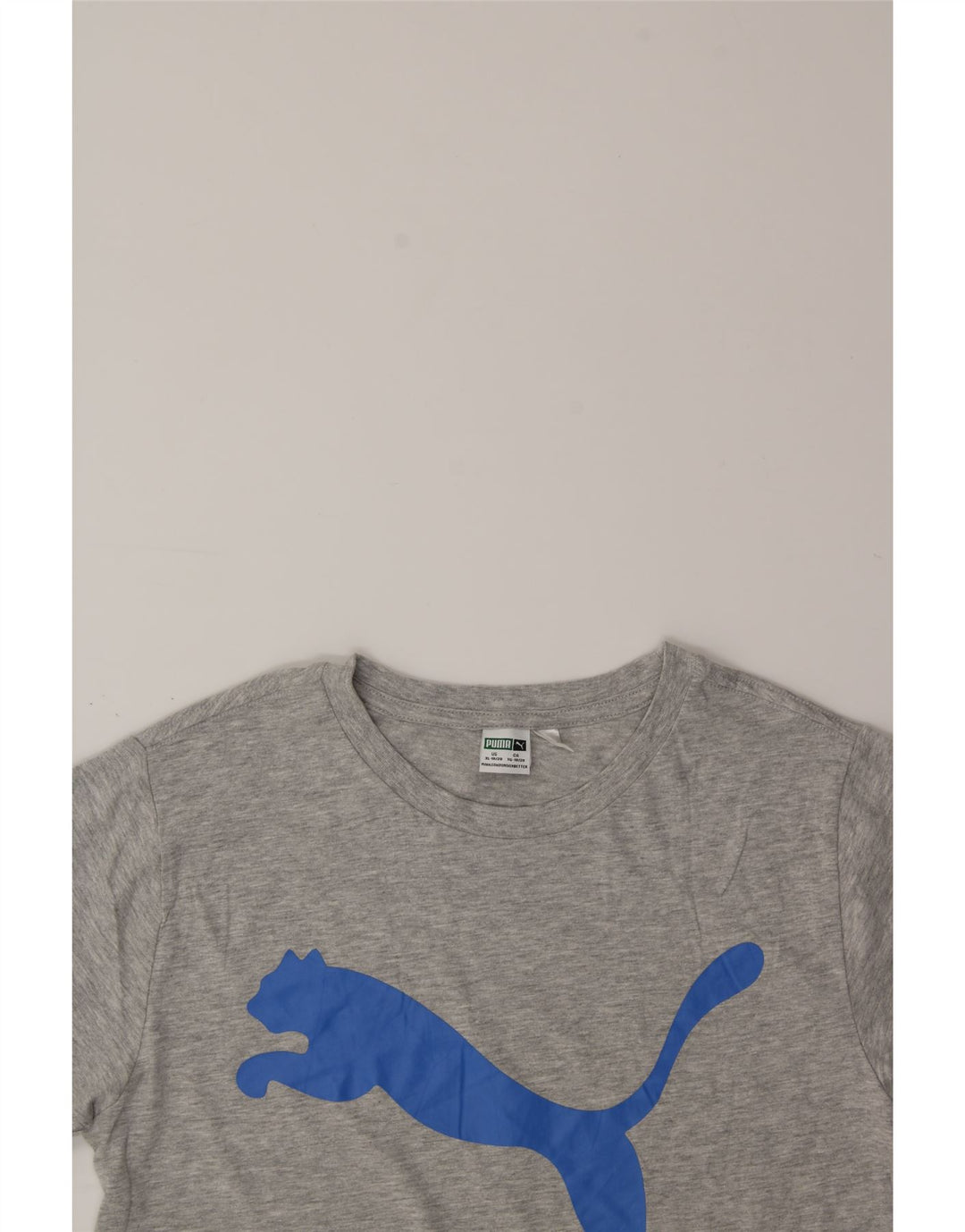 PUMA Boys Graphic T-Shirt Top 15-16 Years  Grey Cotton Vintage Puma and Second-Hand Puma from Messina Hembry 