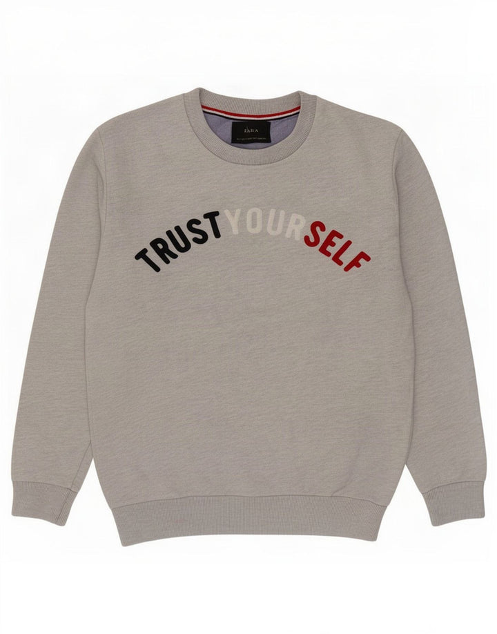 Felpa con grafica Zara da uomo, maglione piccolo grigio