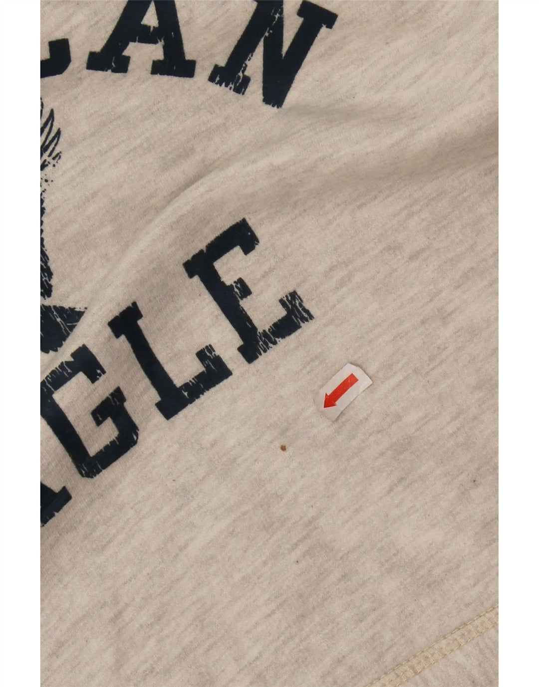 Maglione con cappuccio grafico da uomo American Eagle piccolo in cotone color block grigio