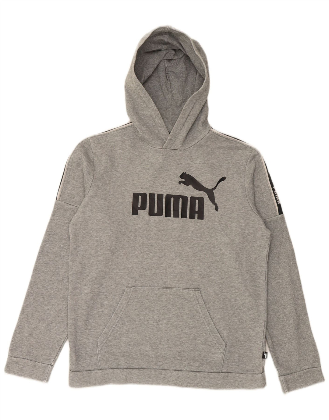 Felpa con cappuccio grafica PUMA da ragazzo 15-16 anni in cotone grigio