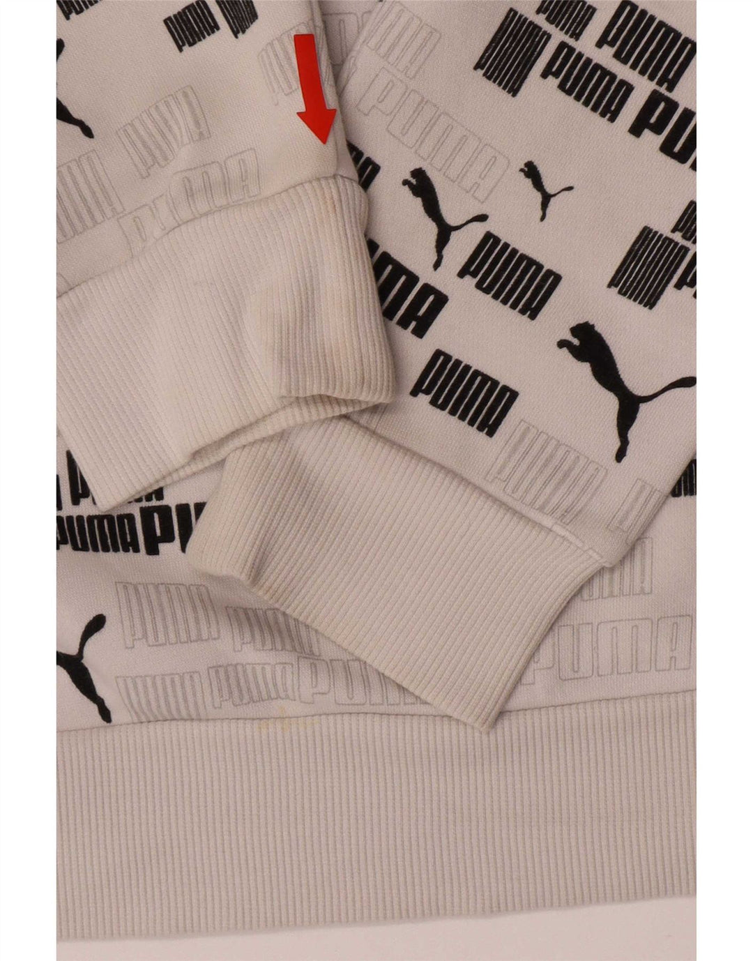 Felpa con cappuccio grafica da uomo Puma piccola in cotone bianco