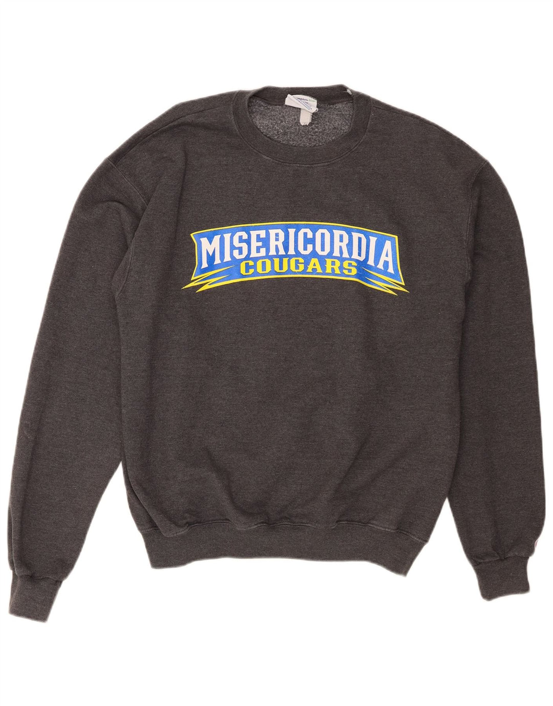 Felpa grafica Champion da uomo Misericordia Cougars, grigio medio