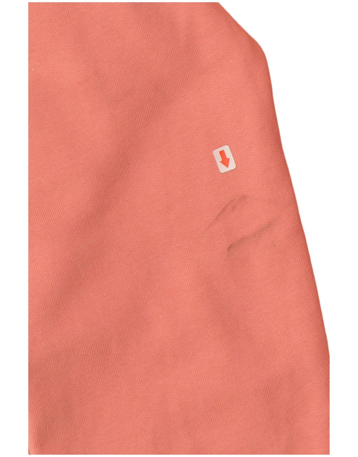 Felpa grafica da uomo The North Face Maglione piccolo cotone rosa