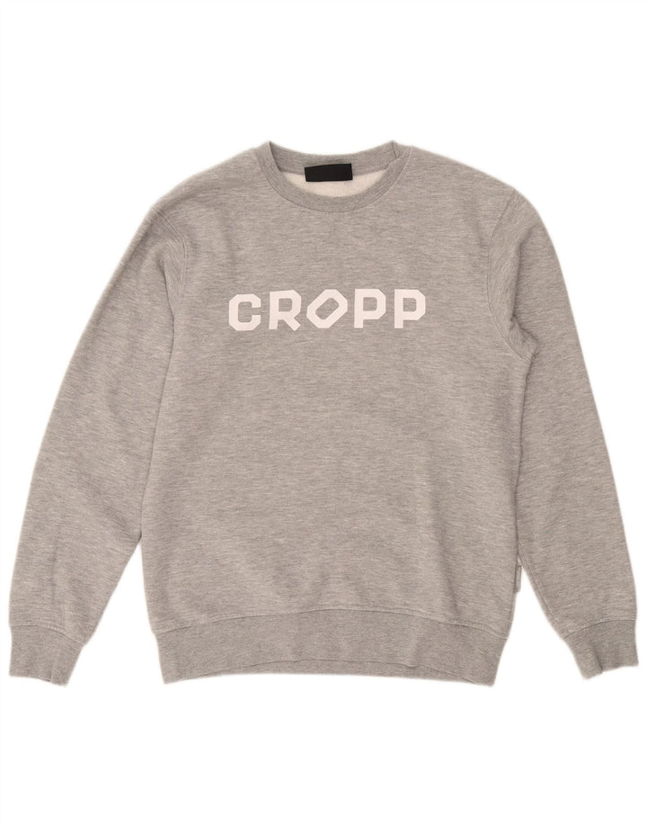 Felpa Cropp da uomo con vestibilità regolare grafica, piccola, cotone grigio