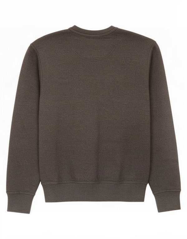 Felpa grafica da uomo Champion, maglione piccolo, cotone grigio