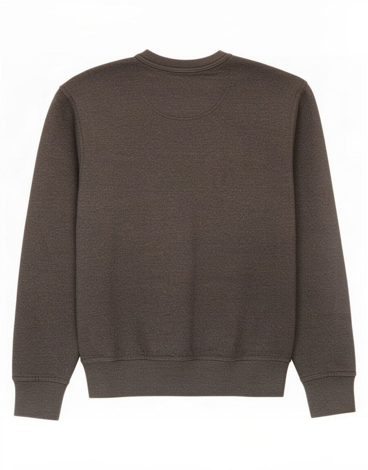 Felpa grafica da uomo Champion, maglione piccolo, cotone grigio