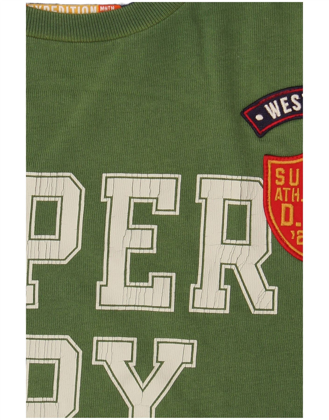 T-shirt grafica da uomo SUPERDRY Top piccola in cotone verde