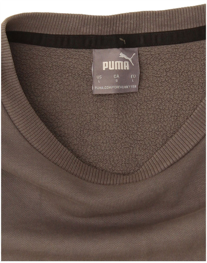 Felpa da uomo Puma Maglione grande grigio