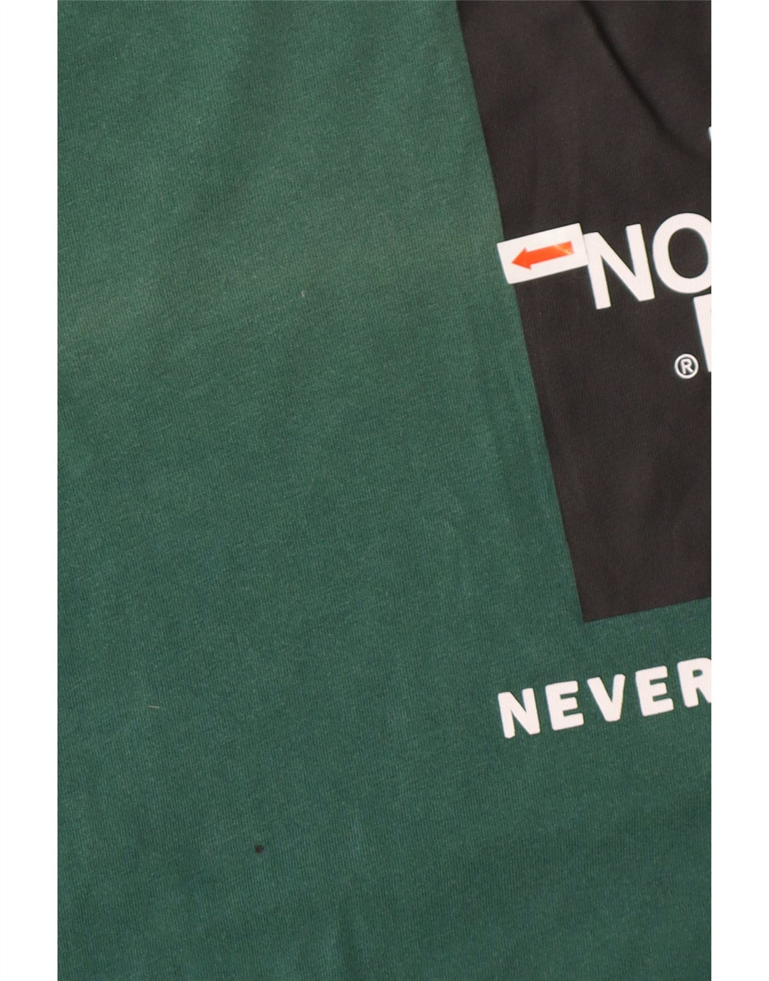 THE NORTH FACE T-shirt grafica da uomo Top in cotone verde medio