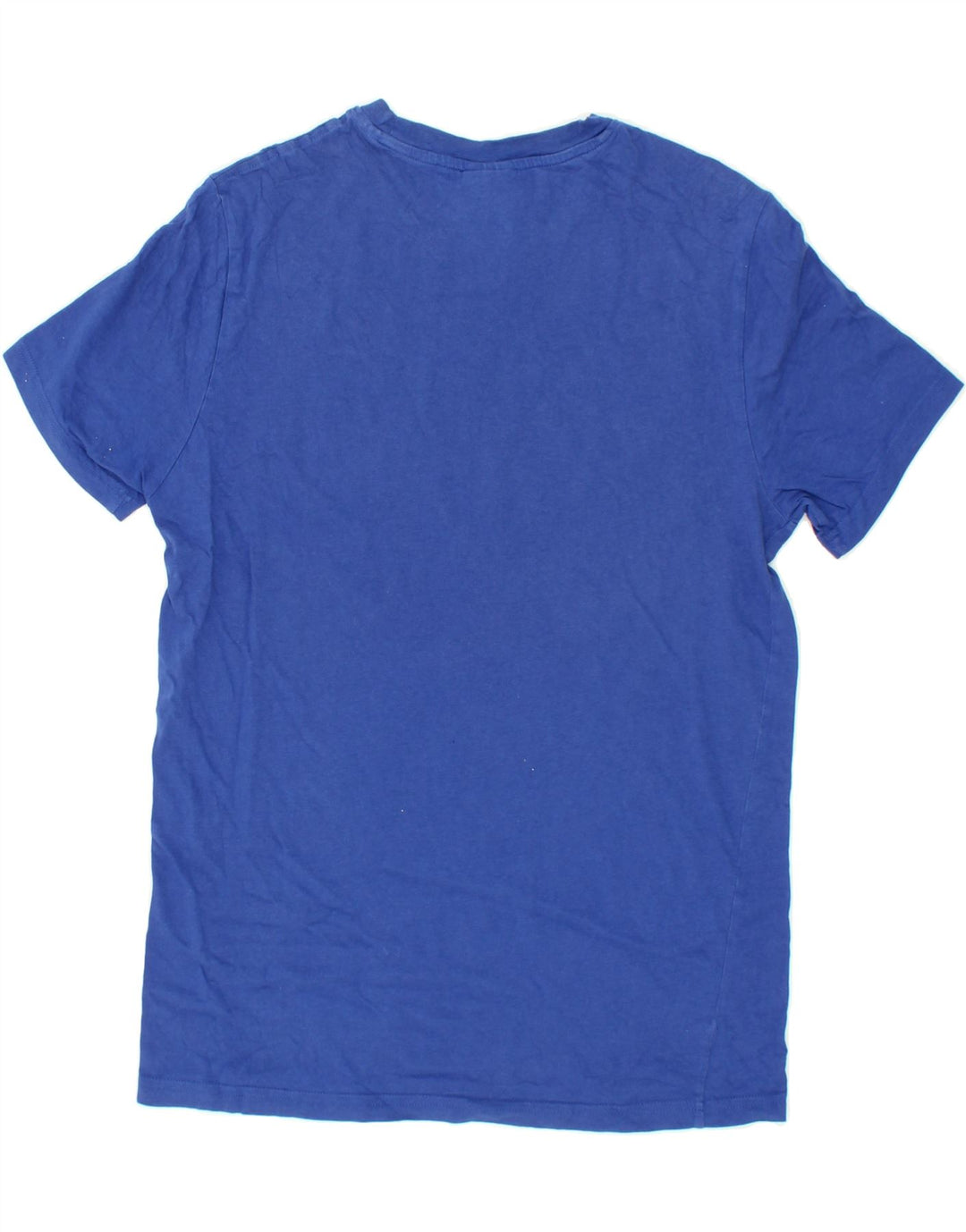 CHAMPION Mens Graphic T-Shirt Top Small Blue Cotton Vintage Champion and Second-Hand Champion from Messina Hembry 