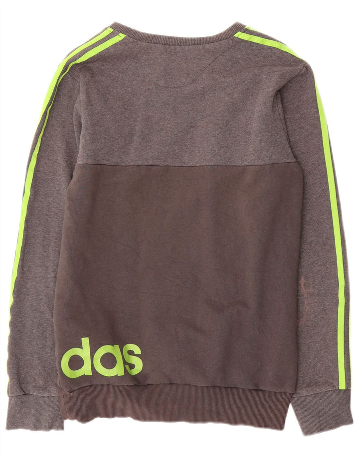 Felpa grafica da uomo Adidas maglione piccolo cotone grigio
