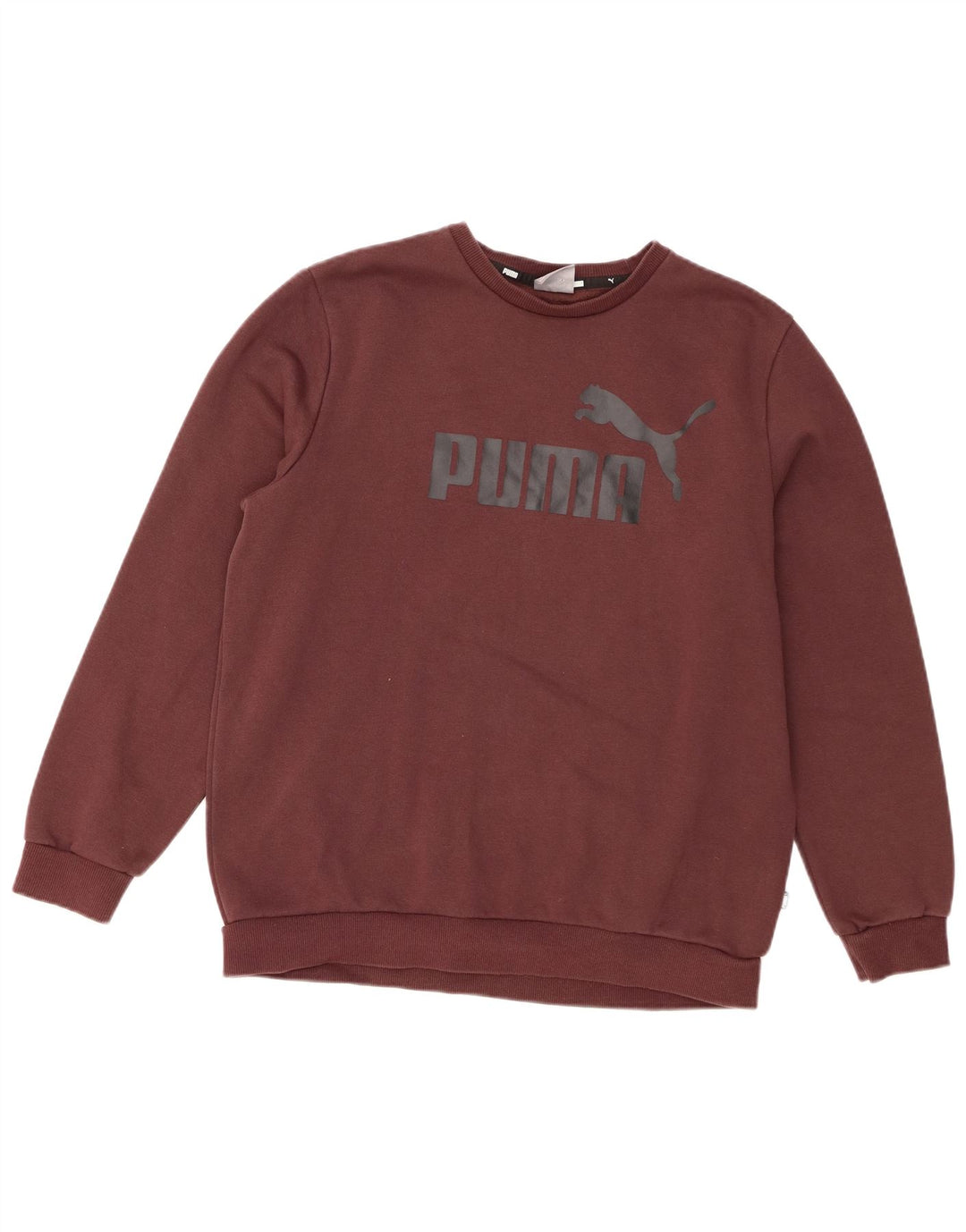 Felpa grafica da uomo Puma Marrone medio