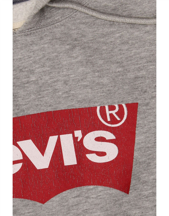 Maglione con cappuccio grafico da uomo Levi's, grande cotone chiazzato grigio