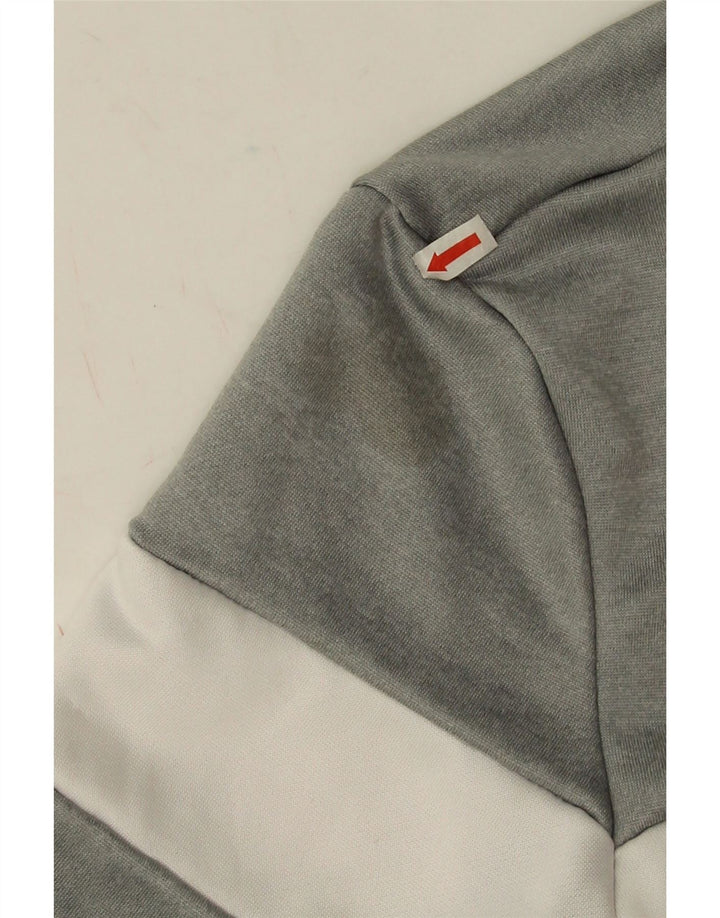 Felpa grafica da uomo Ellesse Maglione piccolo poliestere color block grigio
