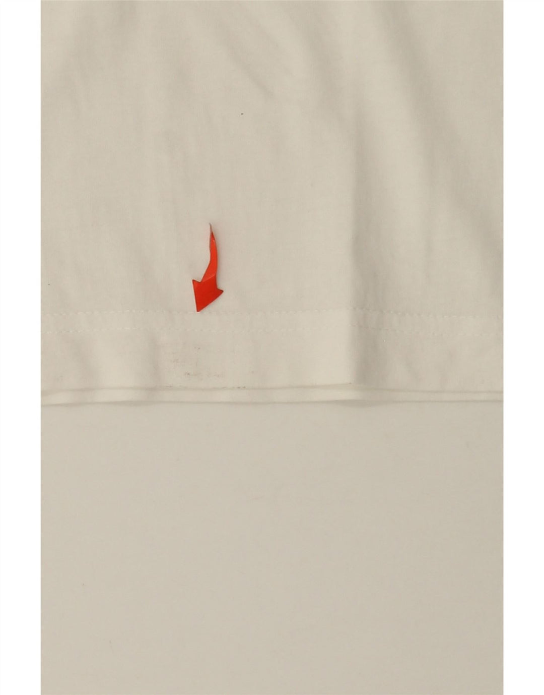 T-shirt grafica da uomo Puma Large bianca