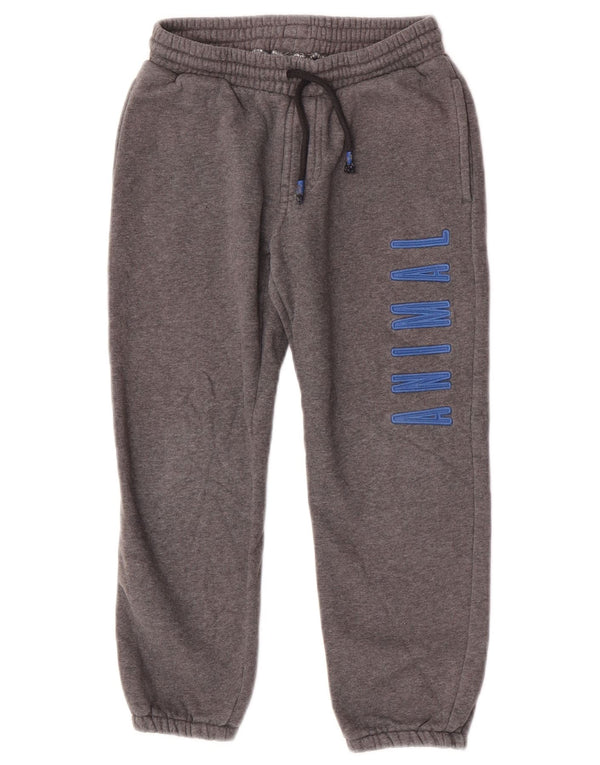Pantaloni da tuta con grafica Animal Boys Joggers 7-8 anni in cotone grigio