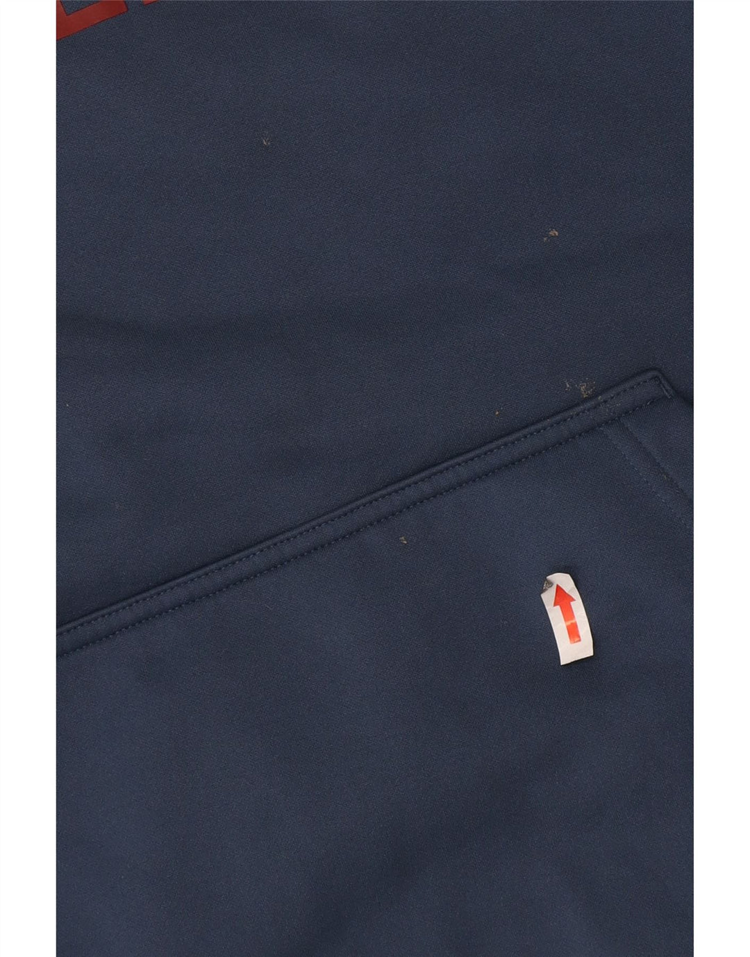 Felpa con cappuccio grafica da uomo The North Face blu medio in poliestere