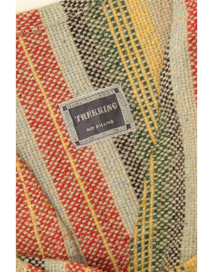Gilet vintage da uomo grande in acrilico a righe multicolori