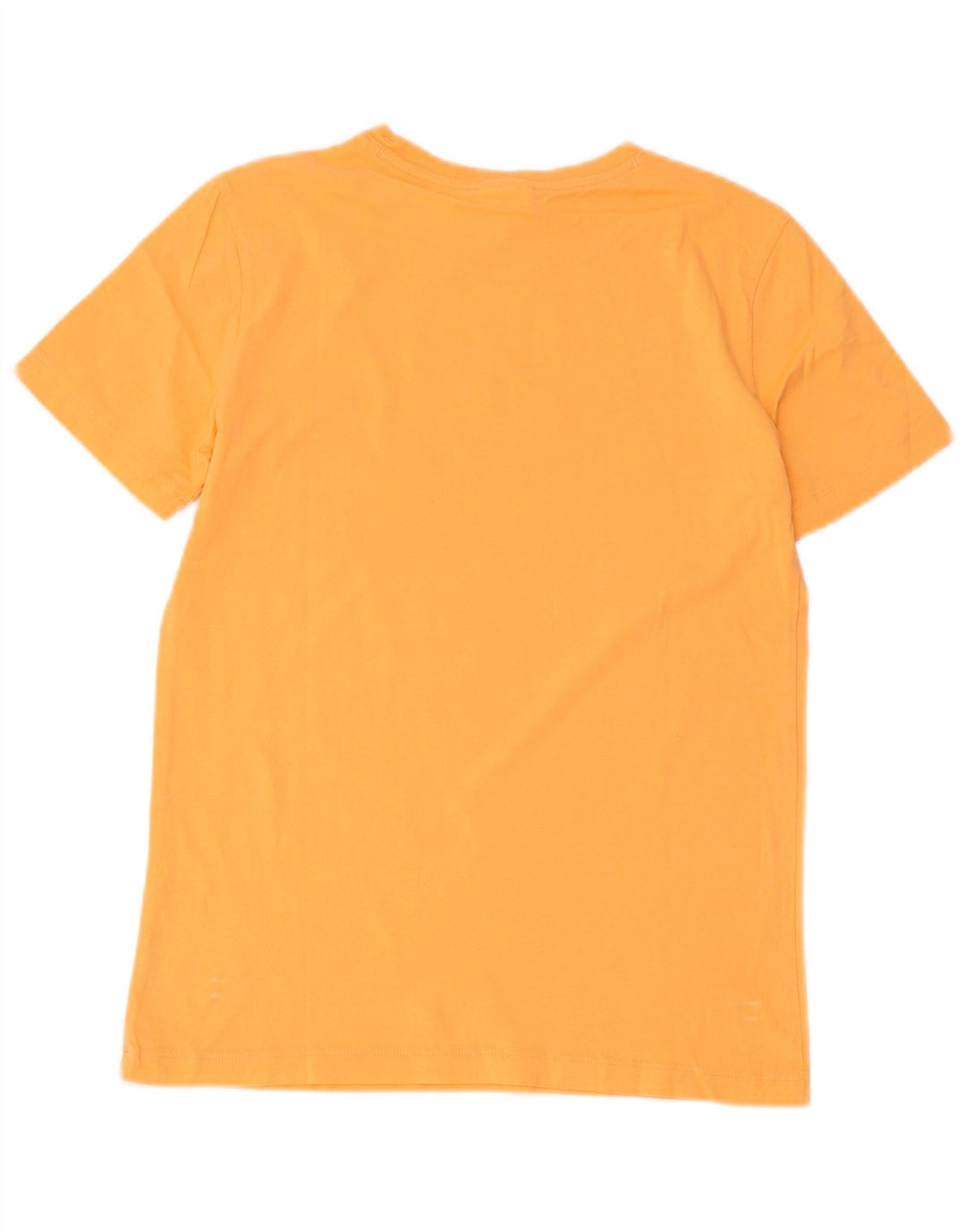 T-shirt grafica da uomo Champion Top piccola arancione